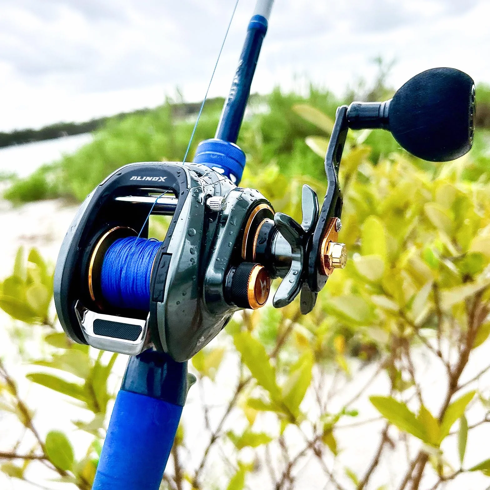 Alinox 300 Baitcasting Reel, 33LB Drag, Aluminum Frame | Freshwater saltwater, 6.6/8.1 ratios, smooth casting, low-profile body