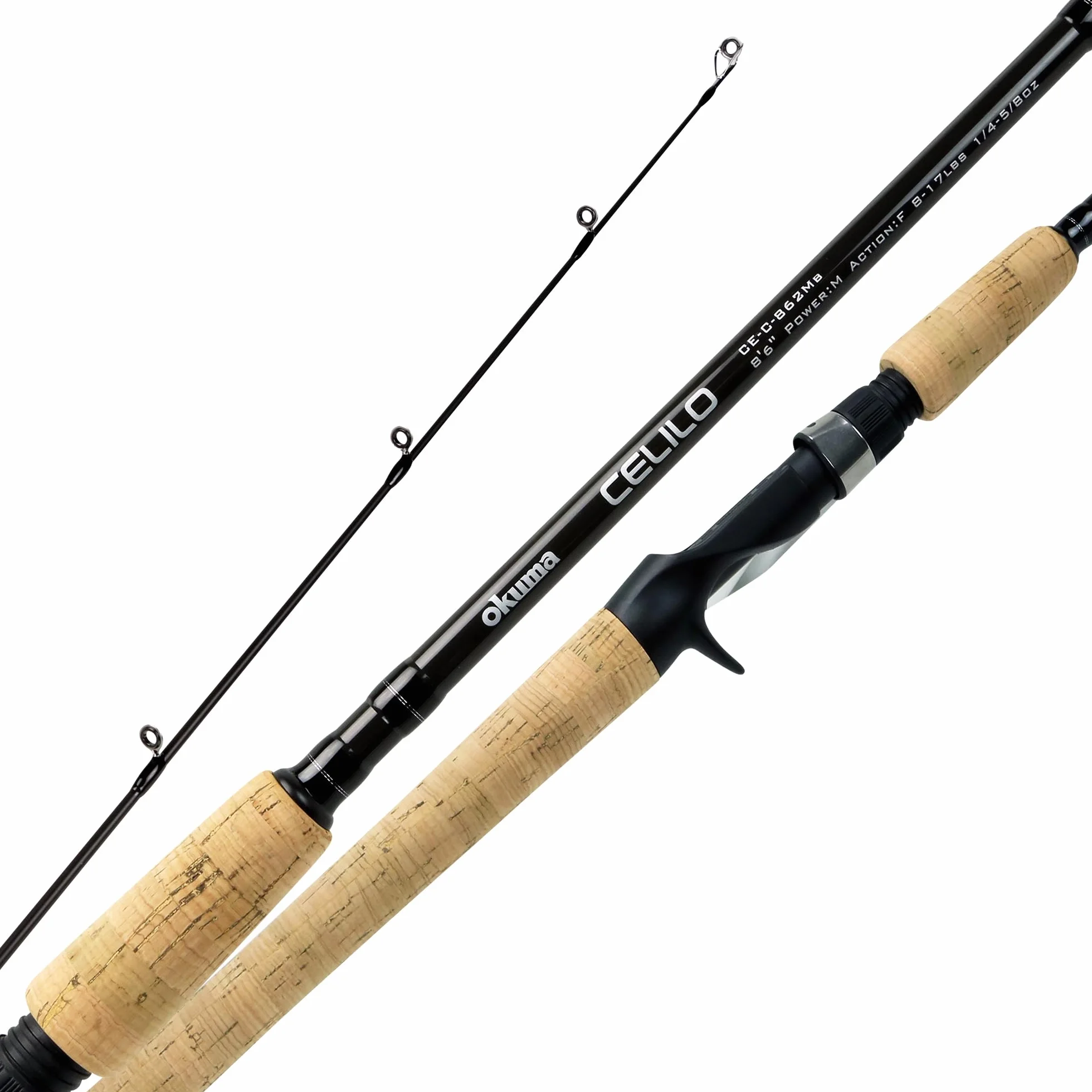 Salmon/Steelhead Rod