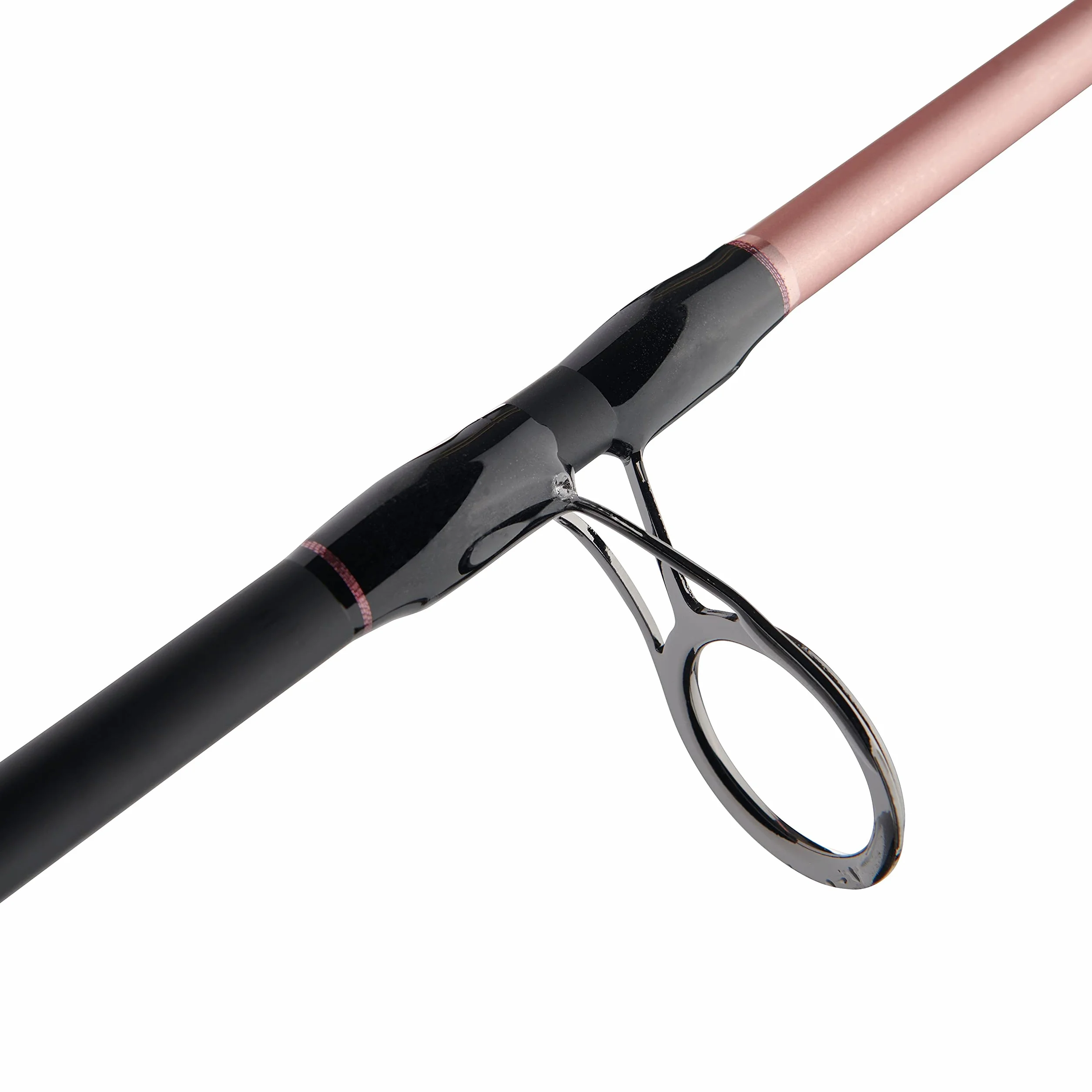 Penn Passion II Spinning Reel and Fishing Rod Combo